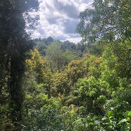 TawharanuiKaka Ridge Retreat Bush Hideaway公寓 外观 照片