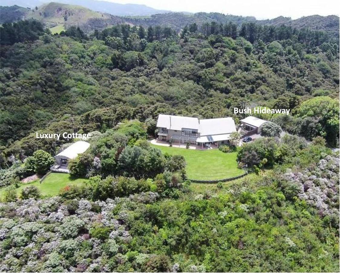 TawharanuiKaka Ridge Retreat Bush Hideaway公寓 外观 照片